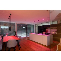 LED Aufbauspot RGBW Tree Anthrazit