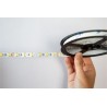 LED Streifen Tunable White IP20 (berührungssicher)