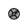 LED Streifen Tunable White IP65 (spritzwasserfest)