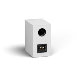 SIGNUM 20 White Pair